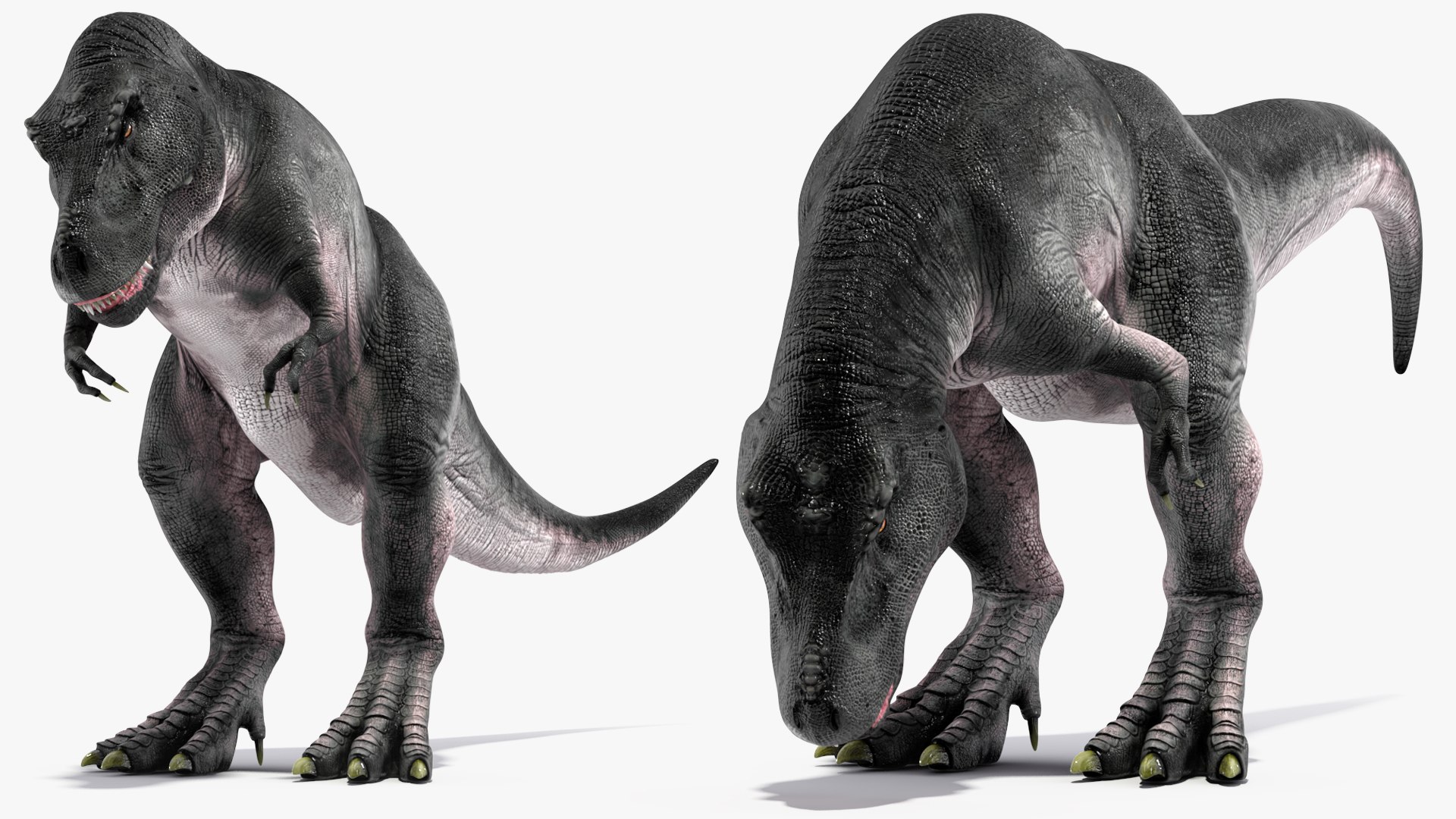 3D T Rex Eating Animated Rigged for Maya https://p.turbosquid.com/ts-thumb/xw/1zF4iR/HV/trexeatinganimatedriggedformayac4dmodel017/jpg/1691033449/1920x1080/fit_q87/0cf4713a20afa9e68fc9dd2033cf05bd0fbc2fda/trexeatinganimatedriggedformayac4dmodel017.jpg