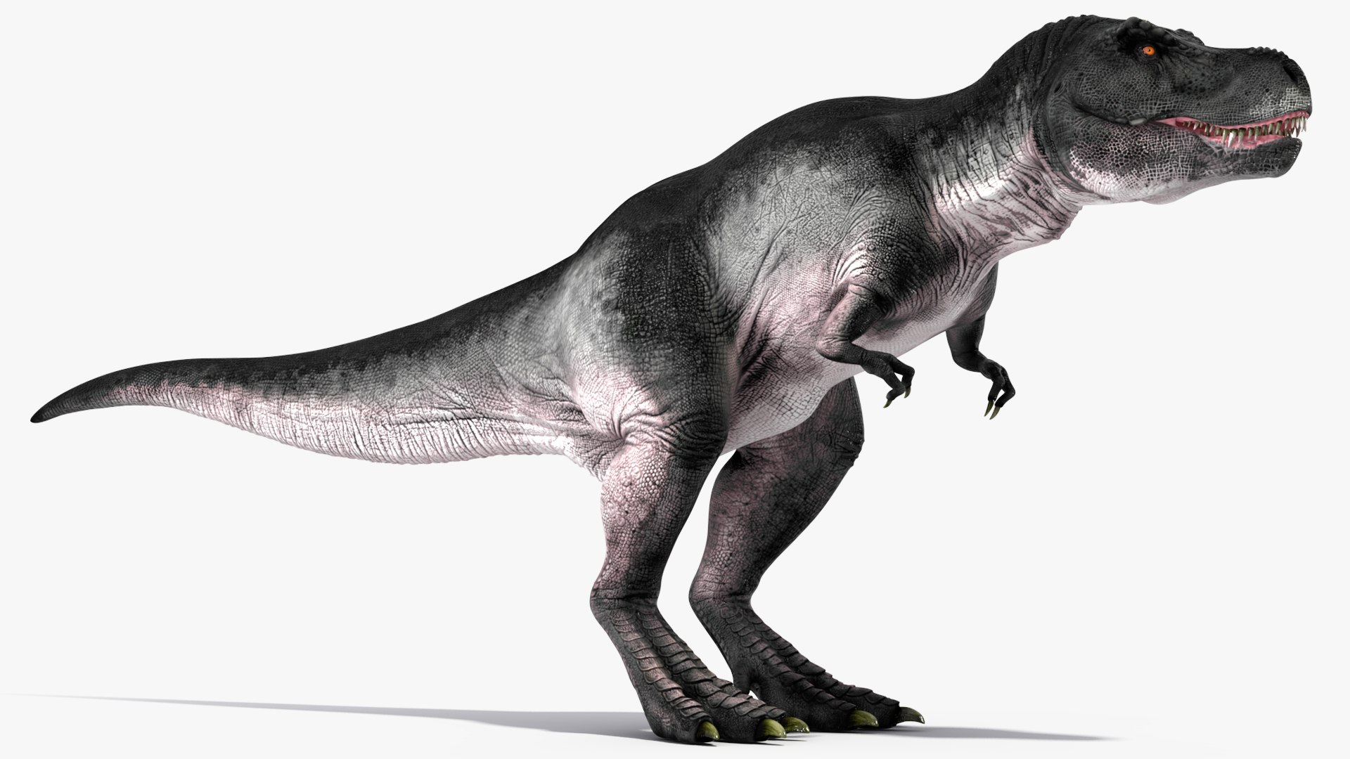 3D T Rex Eating Animated Rigged for Maya https://p.turbosquid.com/ts-thumb/xw/1zF4iR/Hp/trexeatinganimatedriggedformayac4dmodel011/jpg/1691033426/1920x1080/fit_q87/437e72292fc330d78326faefbf3e473b0dc81ef0/trexeatinganimatedriggedformayac4dmodel011.jpg