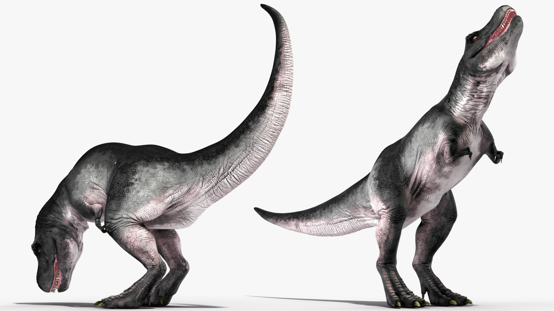 3D T Rex Eating Animated Rigged for Maya https://p.turbosquid.com/ts-thumb/xw/1zF4iR/xa/trexeatinganimatedriggedformayac4dmodel019/jpg/1691033457/1920x1080/fit_q87/11d88ba1377d478efbe0a424df72cd95ac0abc27/trexeatinganimatedriggedformayac4dmodel019.jpg