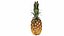 Collezione Furit 3