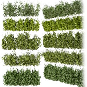 Collection plant vol 309 - bush - outdoor - leaf - cinema 4d - 3dmax