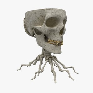 3ds cup skull
