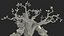 3D Dendroid Rigged model