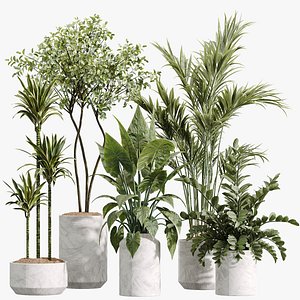 3D AV Indoor Plants Set 234 Areca Palm Lemon Lime Cane Dragon Zamiifolia Alocasia Eucalyptus
