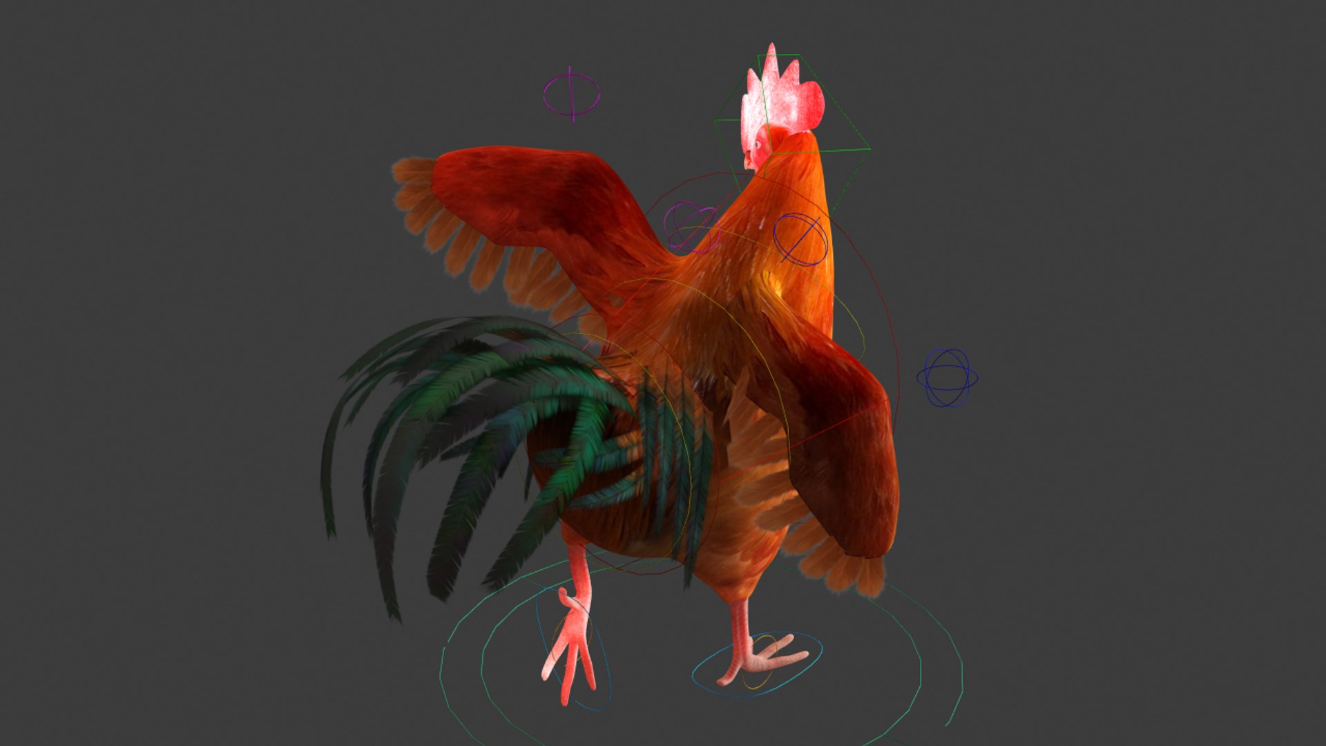 Chicken Rigged 3D Model - TurboSquid 1313196