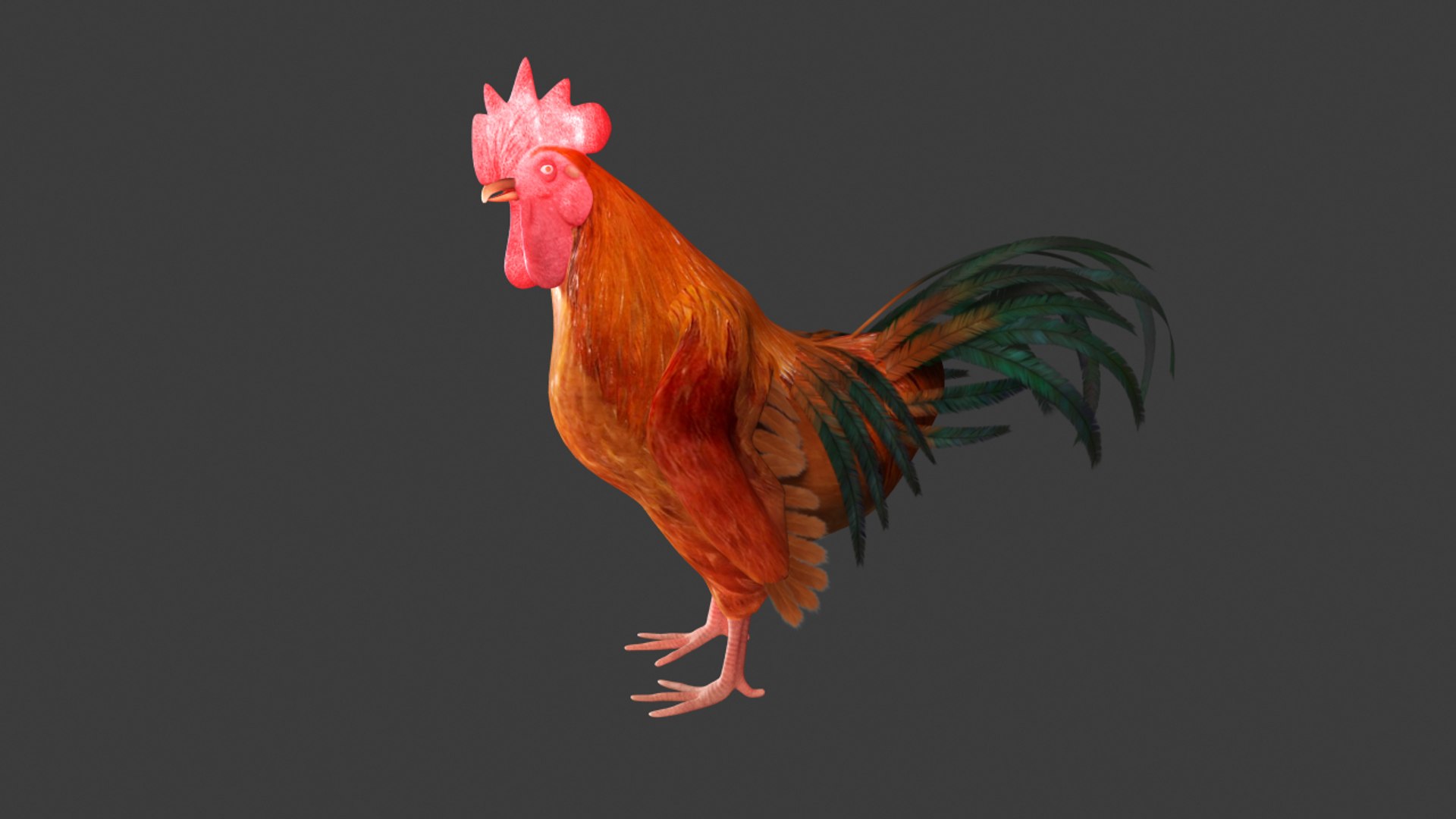 Chicken Rigged 3d Model - Turbosquid 1313196