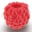Red Raspberry with Fur 3D Model