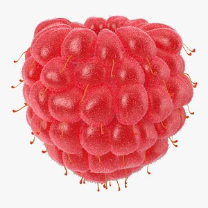 red raspberry fur modeled 3d max