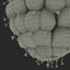 Red Raspberry with Fur 3D Model