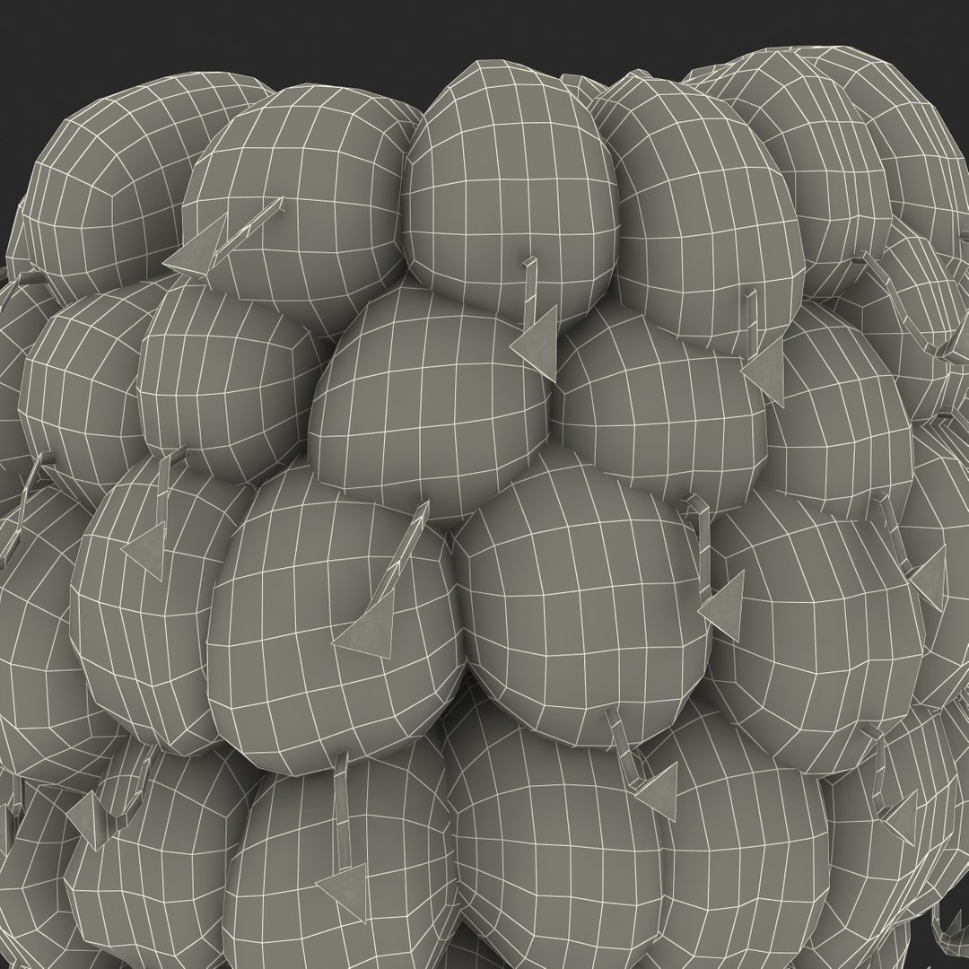 red raspberry fur modeled 3d max https://p.turbosquid.com/ts-thumb/xx/MLkdGr/C1V9poew/raspberry3dmodel4withfur28/jpg/1426692980/1920x1080/fit_q87/16ed2d62a4221d6b7b37a7b03c6c30aa3213a96e/raspberry3dmodel4withfur28.jpg