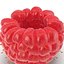 Red Raspberry with Fur 3D Model