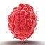Red Raspberry with Fur 3D Model