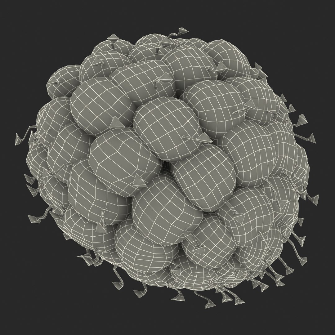 red raspberry fur modeled 3d max https://p.turbosquid.com/ts-thumb/xx/MLkdGr/INzD1Lmp/raspberry3dmodel4withfur24/jpg/1426692979/1920x1080/fit_q87/92a64e375fd26d09660011191b741fbbd9c38434/raspberry3dmodel4withfur24.jpg