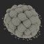Red Raspberry with Fur 3D Model