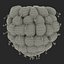 Red Raspberry with Fur 3D Model