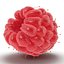 Red Raspberry with Fur 3D Model