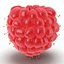 Red Raspberry with Fur 3D Model