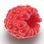 Red Raspberry with Fur 3D Model