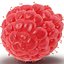 Red Raspberry with Fur 3D Model