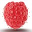Red Raspberry with Fur 3D Model