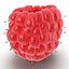 Red Raspberry with Fur 3D Model