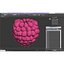 Red Raspberry with Fur 3D Model