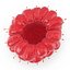 Red Raspberry with Fur 3D Model