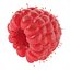 Red Raspberry with Fur 3D Model