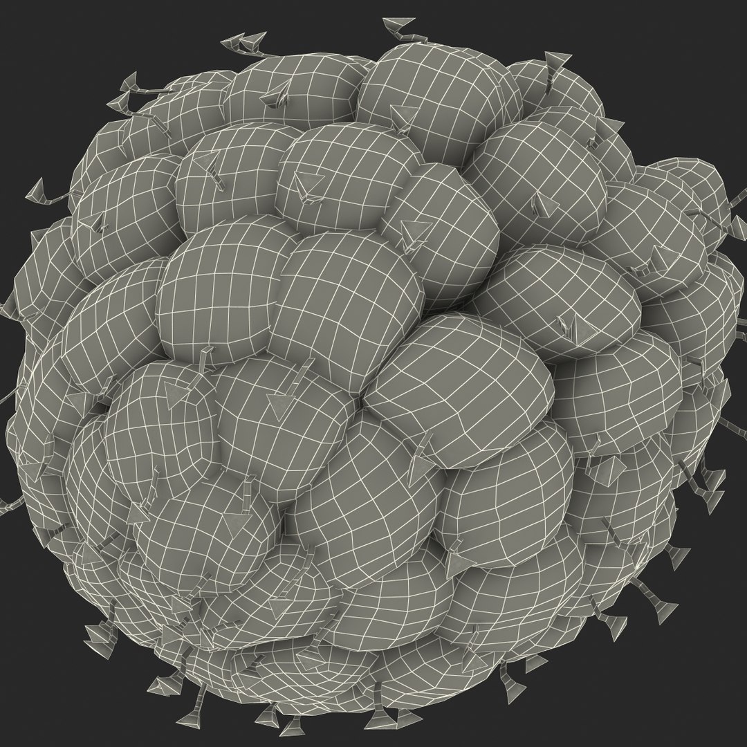 red raspberry fur modeled 3d max https://p.turbosquid.com/ts-thumb/xx/MLkdGr/r3VQGgRd/raspberry3dmodel4withfur26/jpg/1426692979/1920x1080/fit_q87/152d170a3ce3cb5f300a28361b9c3c967373be8e/raspberry3dmodel4withfur26.jpg