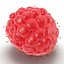 Red Raspberry with Fur 3D Model
