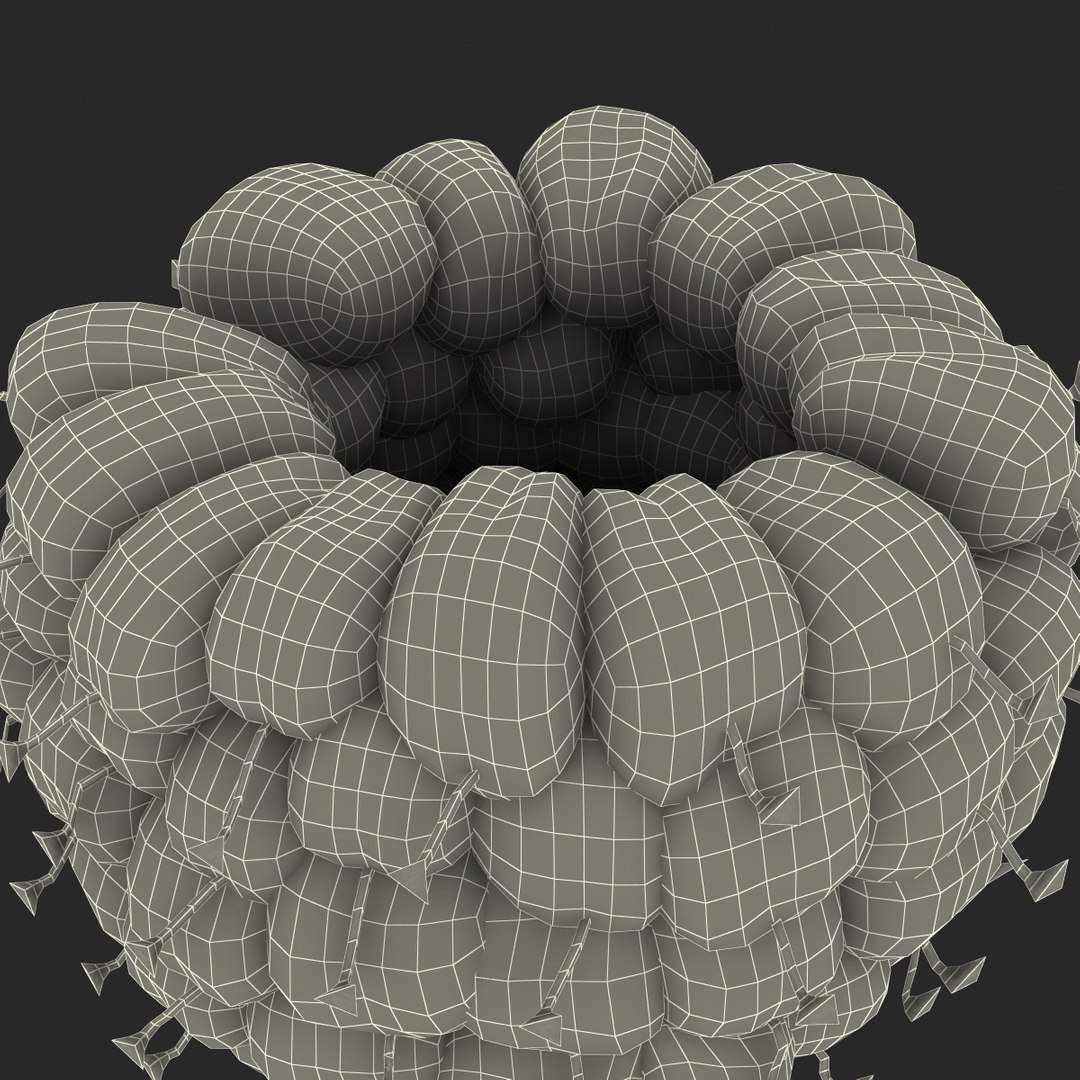 red raspberry fur modeled 3d max https://p.turbosquid.com/ts-thumb/xx/MLkdGr/ynE2tYjQ/raspberry3dmodel4withfur27/jpg/1426692980/1920x1080/fit_q87/dbb6eba84902da249767064e596f7671355bba07/raspberry3dmodel4withfur27.jpg
