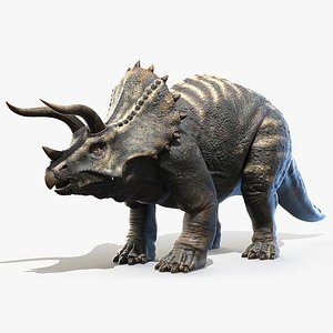 3D triceratops horns