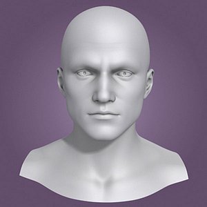 Female Head 3d Model