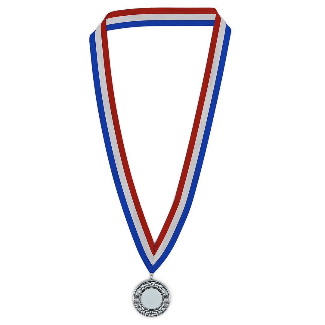 Award Medal Silver 3D Model preview