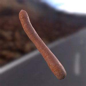 Carrot