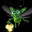 glowworm
