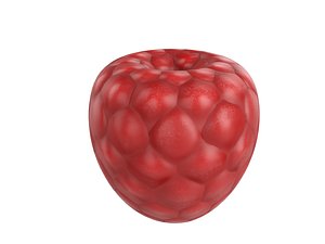 3D rasberry cartoon