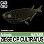 Ziege C