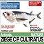 Ziege C