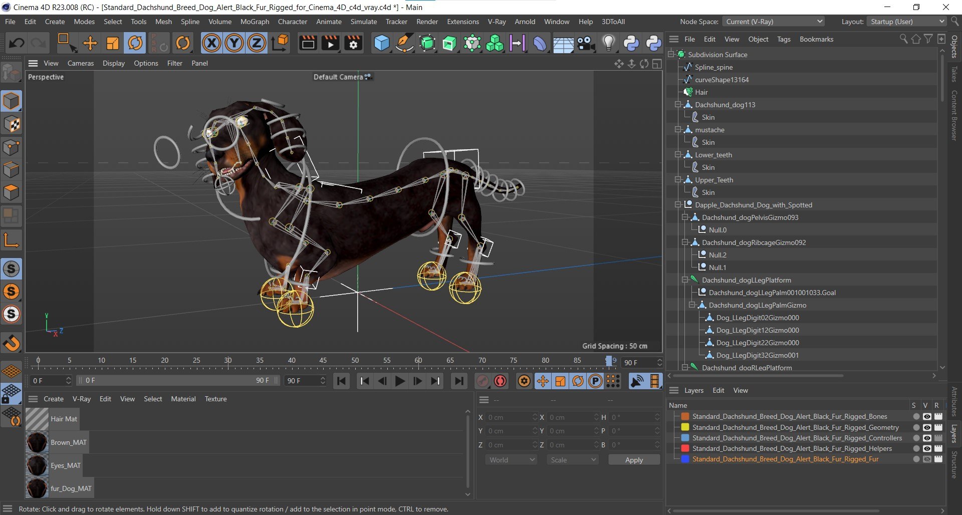Standard Dachshund Breed Dog Alert Black Fur for Cinema 4D Rigged 3D model https://p.turbosquid.com/ts-thumb/xy/pXSGh7/Jh/standard_dachshund_breed_dog_alert_black_fur_for_cinema_4d_rigged_1005/jpg/1760376073/1920x1080/fit_q87/fbf4ec6d6a341a1a058af299cd04b0a8976aecd4/standard_dachshund_breed_dog_alert_black_fur_for_cinema_4d_rigged_1005.jpg