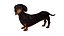 Standard Dachshund Breed Dog Alert Black Fur for Cinema 4D Rigged