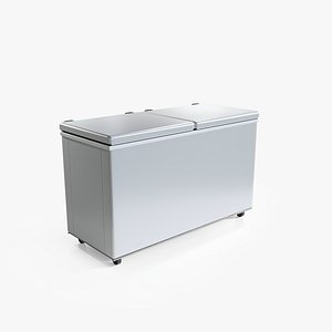 Freezer with two doors