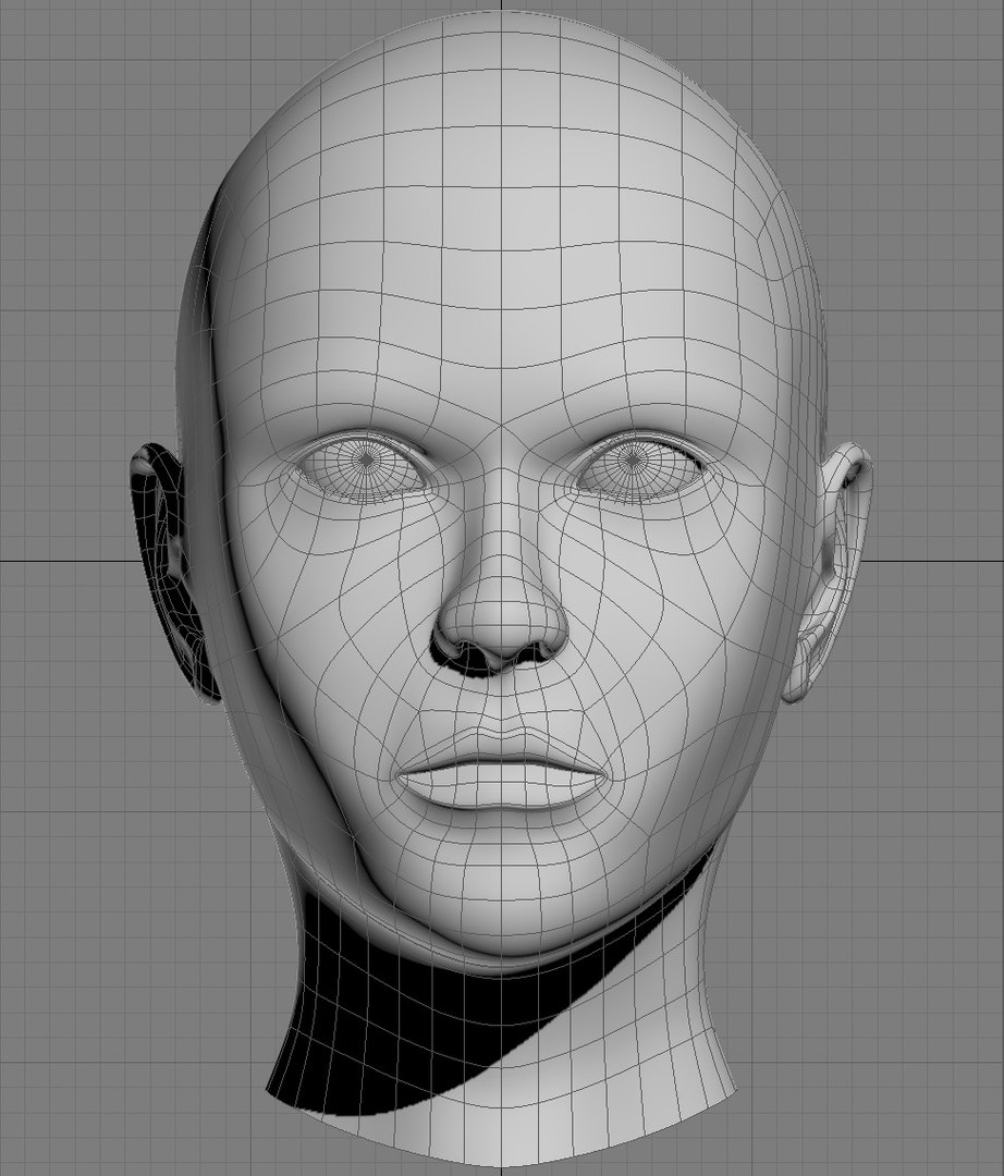 Free Young Female Head 3d Model