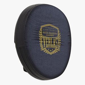 Focus Punch Mitts