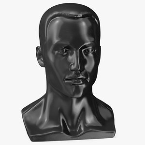 Male Mannequin Head with Hair Black model