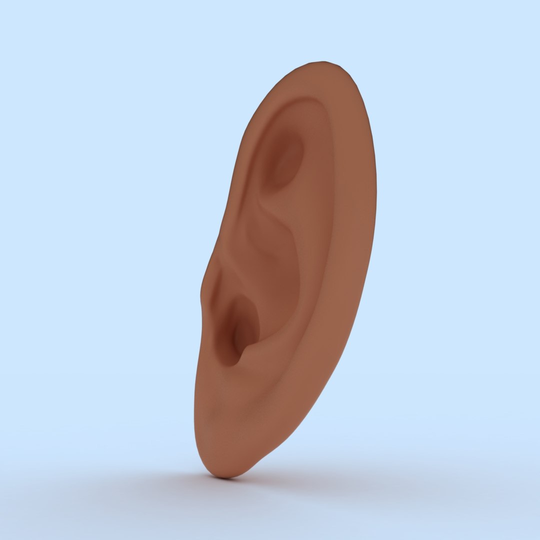 3D ear human organ model https://p.turbosquid.com/ts-thumb/xz/J6B5Z9/6Y/ear05/jpg/1613823458/1920x1080/fit_q87/b21d96d28eae31f3f17a609e53aad5c5b2b75d88/ear05.jpg