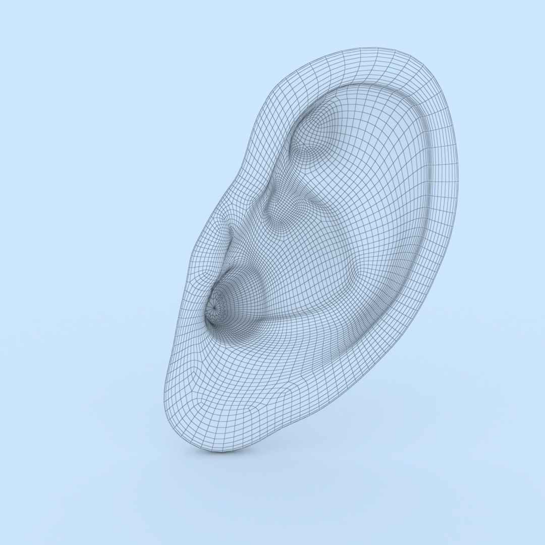 3D ear human organ model https://p.turbosquid.com/ts-thumb/xz/J6B5Z9/BG/ear09/jpg/1613823516/1920x1080/fit_q87/266a42efcafd283aef7c10330170bb59b151c8e2/ear09.jpg