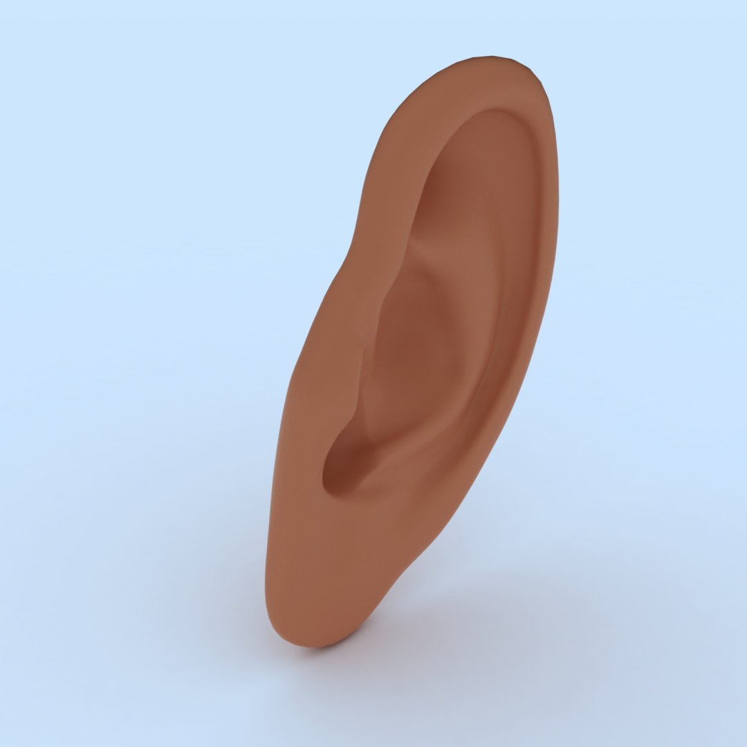 3D ear human organ model https://p.turbosquid.com/ts-thumb/xz/J6B5Z9/J8/ear02/jpg/1613823446/1920x1080/fit_q87/dc7e8db9612b60d85e650d6d8c020f251a949a8c/ear02.jpg
