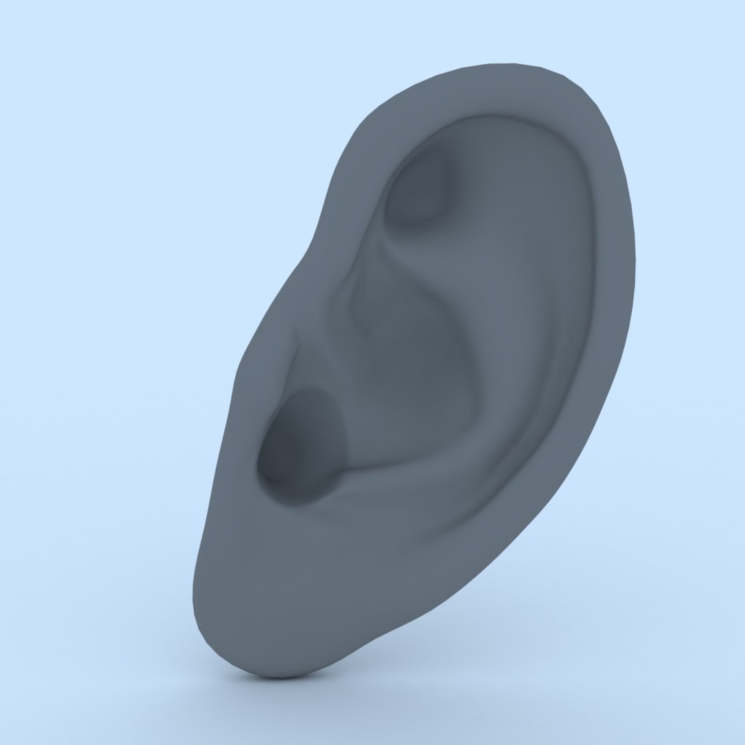 3D ear human organ model https://p.turbosquid.com/ts-thumb/xz/J6B5Z9/M5/ear06/jpg/1613823471/1920x1080/fit_q87/5cace9fea65719d664f2afff68542a3564a89031/ear06.jpg