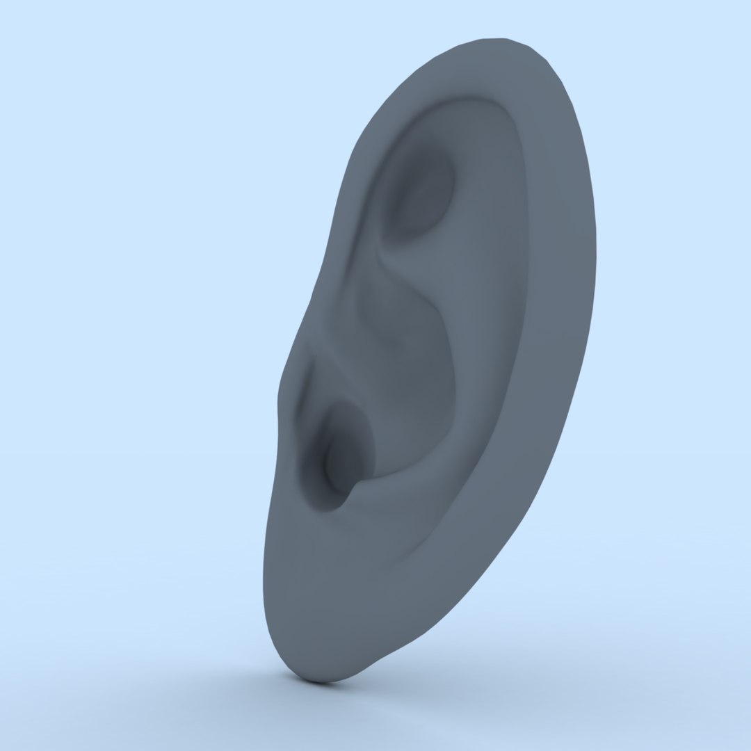 3D ear human organ model https://p.turbosquid.com/ts-thumb/xz/J6B5Z9/oK/ear08/jpg/1613823478/1920x1080/fit_q87/07e1d02ed349f8dad611a0183d8e1fd821667b3a/ear08.jpg